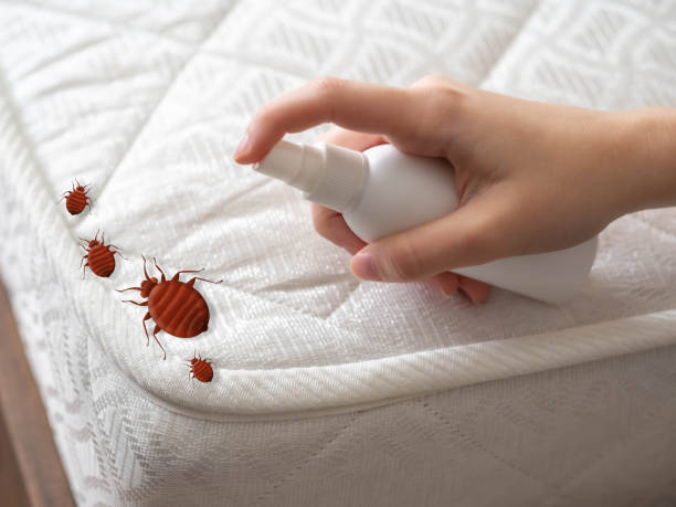 Best Emergency Pest Control  in Newburgh, IN